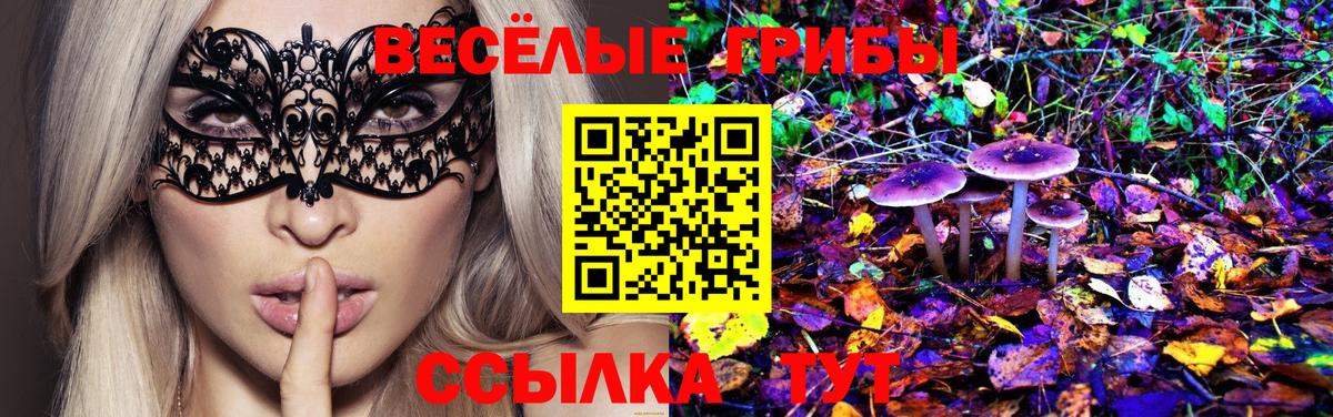 Псилоцибиновые грибы Magic Shrooms  Галлюциногенные грибы мицелий  Вход с VPN  Железногорск 